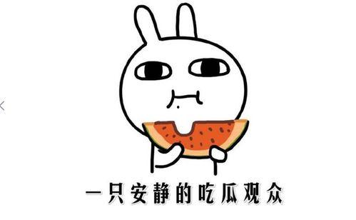 吃瓜是什么意思